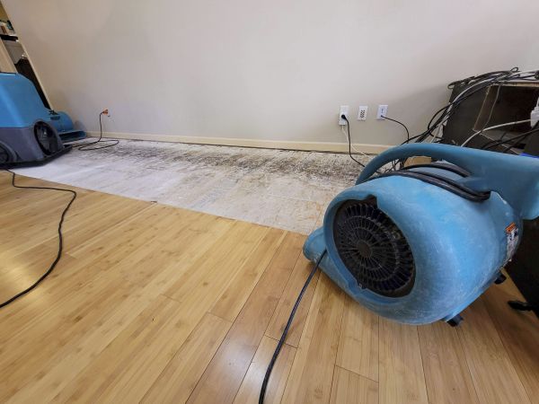 Cost of Water Damage Mitigation in Norristown