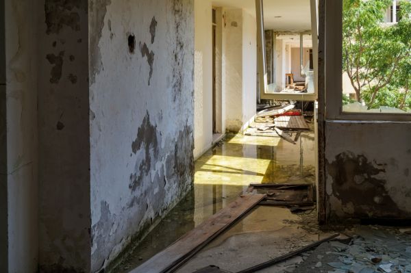 Cost of Water Removal Service in Norristown