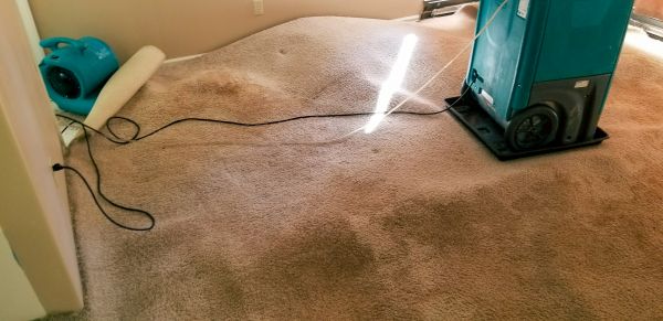 Cost of Carpet Water Extraction in Norristown