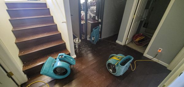 Cost of Water Damage Remediation in Norristown