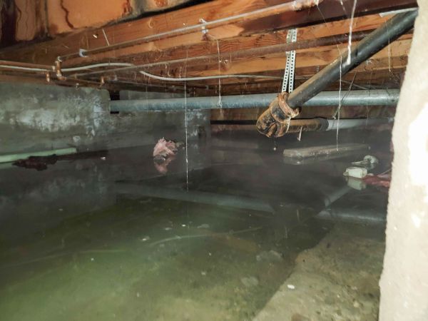 Cost of Water Mitigation Service in Norristown