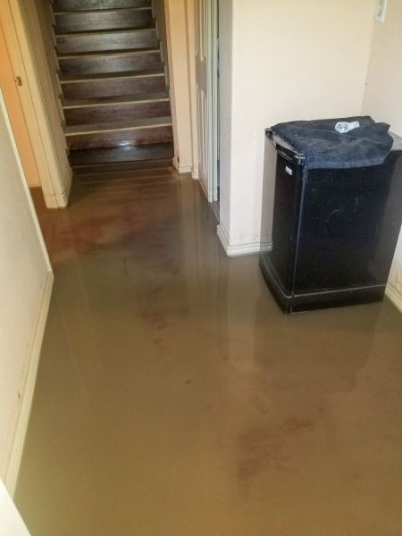 Cost of Emergency Water Removal in Norristown