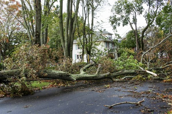 Cost of Tornado Damage Repair in Norristown