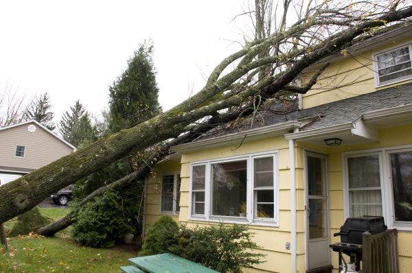 Cost of Hurricane Damage Repair in Norristown